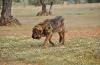 Filename=Imagen_14.jpg
Filesize=250KiB
Dimensions=1024x675
Date added=%548 %21, %2012 Imagen_14.jpg