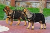 Filename=Imagen_24.jpg
Filesize=231KiB
Dimensions=1024x682
Date added=%810 %12, %2012 Imagen_24.jpg