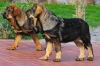 Filename=Imagen_25.jpg
Filesize=232KiB
Dimensions=1024x682
Date added=%809 %12, %2012 Imagen_25.jpg