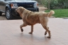 Filename=Imagen_4.jpg
Filesize=151KiB
Dimensions=1024x680
Date added=%802 %21, %2012 Imagen_4.jpg