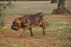 Filename=Imagen_66.jpg
Filesize=246KiB
Dimensions=1024x678
Date added=%807 %12, %2012 Imagen_66.jpg