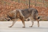 Filename=Imagen_7.jpg
Filesize=172KiB
Dimensions=1024x680
Date added=%550 %21, %2012 Imagen_7.jpg