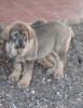 Filename=Medow.JPG
Filesize=54KiB
Dimensions=272x350
Date added=%674 %08, %2012 Medow.JPG