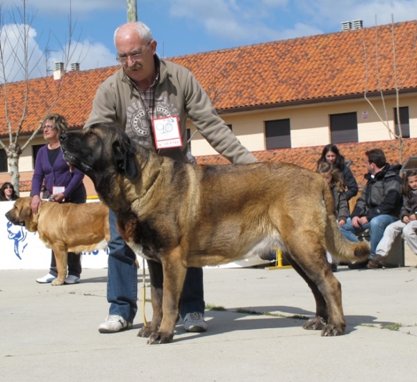 Señorita de Autocán
Keywords: seÃ±orita autocan viana