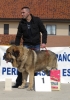 Filename=Copia_de_IMG_1996.JPG
Filesize=99KiB
Dimensions=449x640
Date added=%968 %20, %2010 Copia_de_IMG_1996.JPG