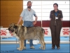 Filename=duqueganadorCAC.JPG
Filesize=352KiB
Dimensions=798x600
Date added=%493 %03, %2010 duqueganadorCAC.JPG