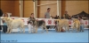 Filename=hembras.JPG
Filesize=256KiB
Dimensions=800x393
Date added=%516 %06, %2010 hembras.JPG