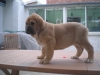 Filename=aneto.JPG
Filesize=702KiB
Dimensions=2048x1536
Date added=%215 %18, %2011 aneto.JPG