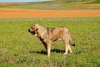 Filename=110411_018.JPG
Filesize=100KiB
Dimensions=600x402
Date added=%474 %17, %2011 110411_018.JPG