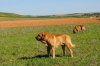 Filename=110411_022.JPG
Filesize=91KiB
Dimensions=601x402
Date added=%474 %17, %2011 110411_022.JPG