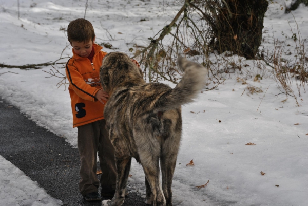 JOSÉ CARLOS CON DULCINEA
FOTOGRAFÍA REALIZADA EN ARGAÑOSO / LEÓN POR ALFREDO CEPEDANO BLANCO.
Keywords: lunadeleon snow nieve