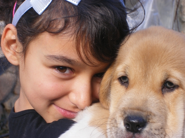 Carlota con Andromeda
Carlota  y Andromeda, Cachorra de la Camada A.
Fotografía: Alfredo Cepedano.
Web: www.delalunadeleon.com
Ključne reči: lunadeleon