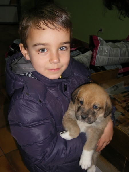 Daniel y Andromeda
Daniel y Andromeda, Cachorra de la Camada A.
Fotografía: Alfredo Cepedano.
Web: www.delalunadeleon.com
Keywords: lunadeleon