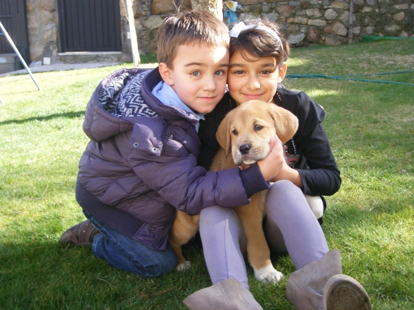 Carlota y Dani con Andromeda
Carlota y Daniel con Andromeda, Cachorra de la Camada A.
Fotografía: Alfredo Cepedano.
Web: www.delalunadeleon.com

Keywords: lunadeleon