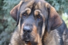 Filename=CSC_0138.jpg
Filesize=198KiB
Dimensions=1280x856
Date added=%952 %06, %2011 CSC_0138.jpg