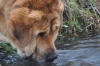 Filename=Canelo_(184).jpg
Filesize=690KiB
Dimensions=1920x1280
Date added=%709 %10, %2011 Canelo_(184).jpg