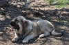 Filename=Imagen_1719.jpg
Filesize=365KiB
Dimensions=1936x1296
Date added=%536 %02, %2011 Imagen_1719.jpg