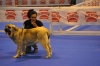 Filename=YYY_096.jpg
Filesize=300KiB
Dimensions=1936x1296
Date added=%799 %23, %2011 YYY_096.jpg