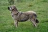 Filename=ZZZZZZZ_071.jpg
Filesize=377KiB
Dimensions=1936x1296
Date added=%868 %11, %2011 ZZZZZZZ_071.jpg