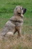 Filename=ZZZZZZZ_079.jpg
Filesize=340KiB
Dimensions=1296x1936
Date added=%868 %11, %2011 ZZZZZZZ_079.jpg