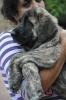 Filename=ZZZZZ_109.jpg
Filesize=323KiB
Dimensions=1296x1936
Date added=%889 %17, %2011 ZZZZZ_109.jpg