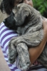 Filename=ZZZZZ_111.jpg
Filesize=313KiB
Dimensions=1296x1936
Date added=%888 %17, %2011 ZZZZZ_111.jpg
