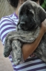 Filename=ZZZZZ_113.jpg
Filesize=291KiB
Dimensions=1296x1936
Date added=%888 %17, %2011 ZZZZZ_113.jpg