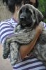 Filename=ZZZZZ_115.jpg
Filesize=296KiB
Dimensions=1296x1936
Date added=%887 %17, %2011 ZZZZZ_115.jpg