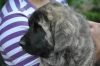 Filename=ZZZZZ_117.jpg
Filesize=294KiB
Dimensions=1936x1296
Date added=%887 %17, %2011 ZZZZZ_117.jpg