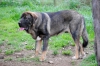 DSC_0287.JPG