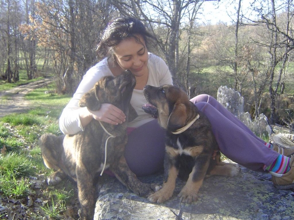 Luna de León. Foto para el Recuerdo.
Raquel con dos de sus cachorros, Atria y Campeón, en los robledales
de Viforcos ( León ).
Fotografía: Alfredo Cepedano
Web: www.delalunadeleon.com
Keywords: lunadeleon