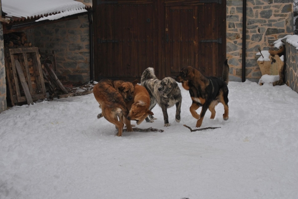 Jugando en el patio.
