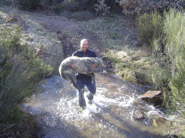 Prueba superada.
Pedro y Dulcinea atravesando el rio de la Molina
para acceder a la Cascada de la Fervencia ( Foncebadón ).
Fotografía: Alfredo Cepedano. 
Keywords: luna de leon