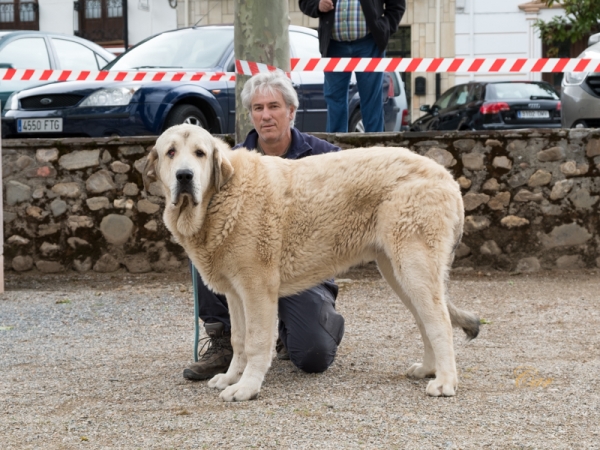 Olmo de Valseco
Keywords: dasuces 2019