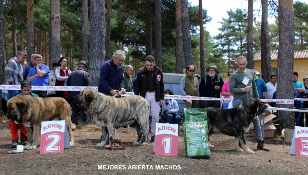 Orgaz Das Uces exc 1º.  Cafresnal de Gustamores exc 2º. Serdán de la Majada de los Robles exc 3º

