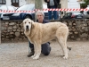 Filename=1_olmo_de_valseco_20190523.jpg
Filesize=484KiB
Dimensions=800x600
Date added=%531 %28, %2019 1_olmo_de_valseco_20190523.jpg