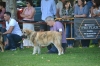 Filename=Amaranta_cachorros_hembra_Veguellina_2018~0.jpg
Filesize=96KiB
Dimensions=960x640
Date added=%540 %02, %2018 Amaranta_cachorros_hembra_Veguellina_2018~0.jpg