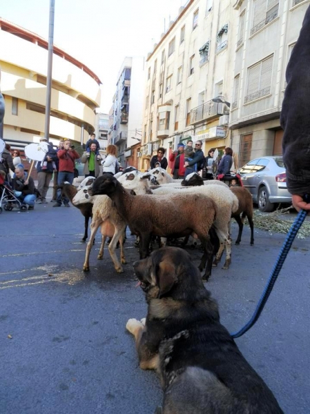 LOBA-1ª MARCHA EN DEFENSA DE LAS VIAS PECUARIAS
Keywords: Macicandu