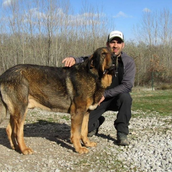 LOBO DE MACICANDU
Keywords: Macicandu