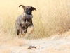 Filename=29.JPG
Filesize=749KiB
Dimensions=1024x768
Date added=%787 %03, %2014 29.JPG