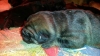 Filename=IMG-20140221-WA0009.jpg
Filesize=92KiB
Dimensions=816x459
Date added=%516 %21, %2014 IMG-20140221-WA0009.jpg