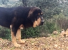 Filename=IMG-20141216-WA0007.jpg
Filesize=302KiB
Dimensions=1024x749
Date added=%550 %13, %2015 IMG-20141216-WA0007.jpg