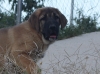 Filename=S7.jpg
Filesize=183KiB
Dimensions=1059x794
Date added=%712 %07, %2017 S7.jpg