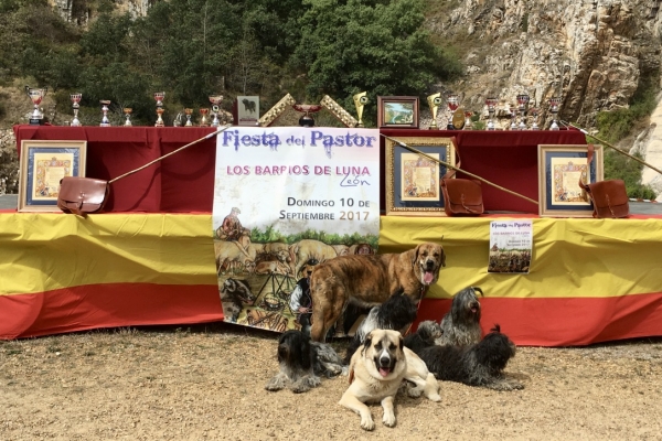 Los Barrios del Luna 2017 
Marietta con familia
