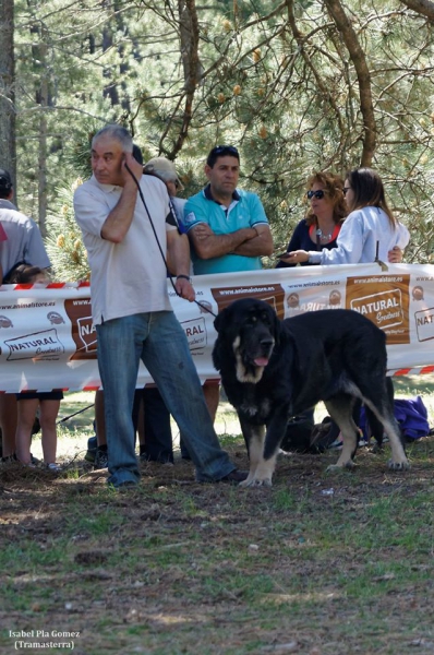 Campo I de Babia
