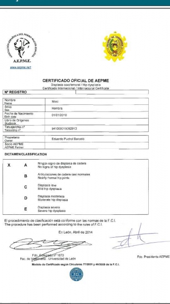 Resultado de AEPME de la radiografia de cadera de Niki (Libre A)
Keywords: carrascoy