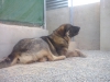 Filename=CAM04217.jpg
Filesize=1351KiB
Dimensions=2560x1920
Date added=%770 %30, %2016 CAM04217.jpg