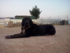Filename=CAM04220.jpg
Filesize=1200KiB
Dimensions=2560x1920
Date added=%771 %30, %2016 CAM04220.jpg