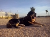 Filename=CAM04272.jpg
Filesize=1678KiB
Dimensions=2560x1920
Date added=%768 %30, %2016 CAM04272.jpg