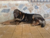 Filename=IMG-20150921-WA0000.jpg
Filesize=224KiB
Dimensions=1296x972
Date added=%466 %01, %2016 IMG-20150921-WA0000.jpg
